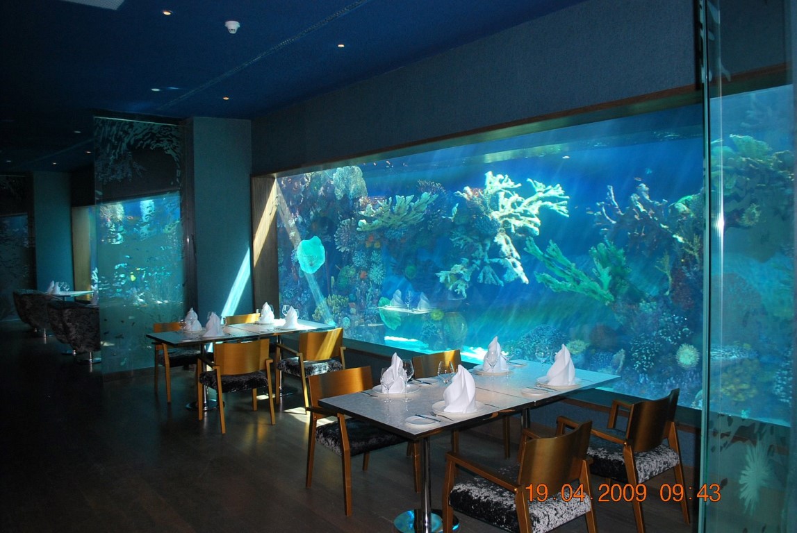 imagini hotel MARDAN PALACE